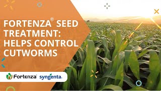 Fortenza® seed treatment helps control cutworms [upl. by Oshinski]