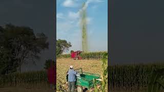 The process of returning ensilage to the field [upl. by Aramit700]