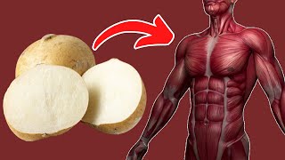 Top 11 Amazing Jicama Benefits  Best Health Benefits of Jicama [upl. by Camellia189]