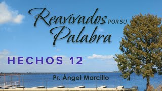 REAVIVADOS POR SU PALABRA HECHOS 12 8 DE NOVIEMBRE DEL 2024 [upl. by Atiuqram431]