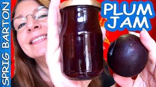 HOW TO MAKE PLUM JAM  PLUM PRESERVES BEST RECIPE Sprig Barton Tutorial [upl. by Nali]