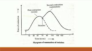 Summation of twitches Tonus amp Muscle fatigue [upl. by Tadio]