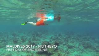 Maldives 2017  First day of snorkeling  Filitheyo Island Resort [upl. by Marchese]