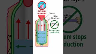 How thermos flask works shorts thermos whatisinside [upl. by Latonia]