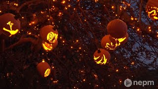 The Incredible Naumkeag Pumpkin Show  Connecting Point  Oct 29 2021 [upl. by Eagle]