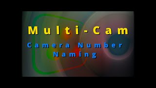 DaVinci Resolve 19  MultiSync Camera Naming [upl. by Nuawad]