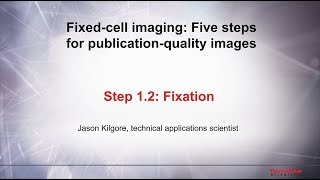 12 Fixation–Fixed cell imaging 5 steps for publicationquality images [upl. by Meghan]