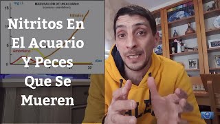 🔵 Nitritos En El Acuario Y Peces Que Se Mueren Sin Motivo Acuarios MB [upl. by Aken]