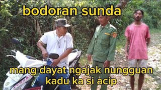 bodoran sundamang dayat ngajak nungguan kadu ka si acip [upl. by Niddala]