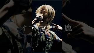 【syudou】コールボーイ  syudou Live 2023「我武者羅」 syudou ライブ映像 shorts コールボーイ [upl. by Hgierb6]