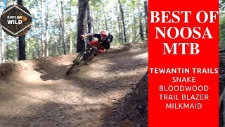 Best of Noosa Mtb Tewantin Sunshine Coast Queensland Australia [upl. by Richie903]