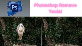 Photoshop Remove Tools  Remove Unwanted Objects From Your Photos To Look Professional [upl. by Kittie588]