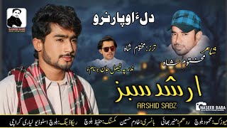 Arshid Sabz NEW YEAR GIFT Dila Hopar Naro Balochi Song Poet Maktoom Shah [upl. by Yednil]