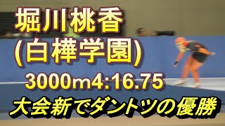 堀川桃香選手が女子3000ｍを大会新でぶっちぎり優勝。スピードスケート インターハイ。 [upl. by Camella]