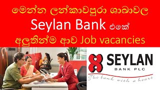 Seylan Bank Job Vacancies 2024 The Surprising Truth About Getting Hired [upl. by Rozella]