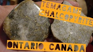 Lapidary Time Working Chalcopyrite from Temagami Ontario Canada [upl. by Sacci]