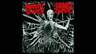 Mammothgrinder Hatred Surge  Split [upl. by Atcliffe]