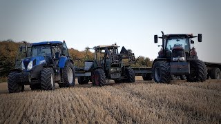 Wróbel traktorzysta  Wożenie słomy  22km vs NewHolland amp Case [upl. by Shih]