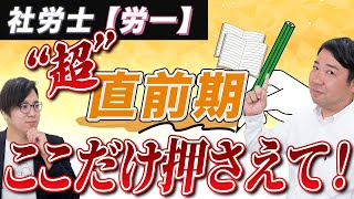 【社労士試験 quot超quot直前期対策 労一編】労一のここだけを抑えてください！【社労士】 [upl. by Ydrah367]