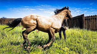 5 Biggest horse in RDR2 American StandardBred [upl. by Eeryk]