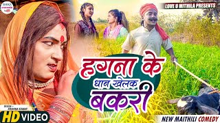 हगना के धान खेलक कलकतिया वाली के बकरी  maithili comedy 2023 [upl. by Dawna]