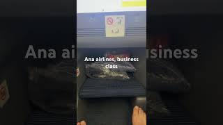 ANA Airlines Business Class [upl. by Haela749]