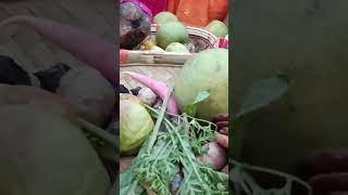 Uga Hai Suraj Dev chhath puja songs Telo Bokaro Jharkhand chhathpuja terikhatirmi [upl. by Carilyn]