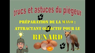 Piéger le renard fabrication de la quotMAYOquot [upl. by Enialahs]