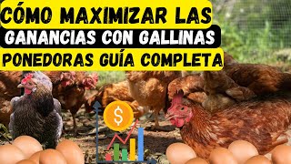 🐓💰 Cómo Maximizar las Ganancias con Gallinas Ponedoras Guía Completa 🥚✨ [upl. by Venetis]