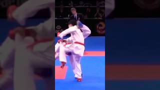 Excellent scorpions kick kumite karate ippon [upl. by Donatelli529]