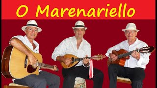 O Marenariello  Mandoline et Guitares  Réalisé au bar de Monti [upl. by Esidnac]