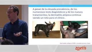 Cytopoint y la terapia con anticuerpos monoclonales en dermatologia Primera Parte [upl. by Utir]