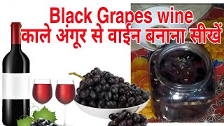 Black Grapes Red Wine make at home Desi Daru Shrab Wine Making process [upl. by Arreic340]