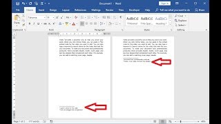 How to Insert Endnote amp Footnote in MS Word [upl. by Bathelda]