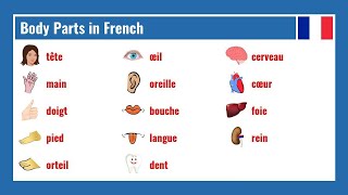 Body Parts in French [upl. by Lebezej]