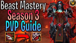 The Ultimate PVP Build for Beast Mastery Hunter in Season 3 of Dragonflight  Patch 102 [upl. by Antonino564]