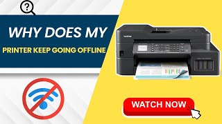 Why does My Printer Keep Going offline [upl. by Ahsetan]