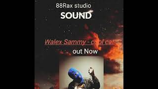 Walex Sammy  cool cat out now 🐱🐈 [upl. by Latterll]