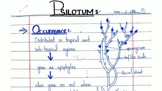 PSILOTUM General characters and Reproduction In hindiUrdu ADSBSCBS [upl. by Eelime]