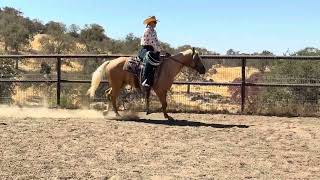 Nicole Smith  Dutton Ultimate Ranch Challenge WalkTrot Ranch Pleasure OCTOBER [upl. by Marie757]