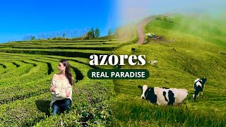 HOW TO TRAVEL AZORES in 2024  MustSee Places Sao Miguel Island [upl. by Noonan]