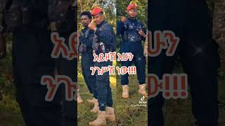 አምና አድስ አበባ  Best Amharic Music [upl. by Wilber]