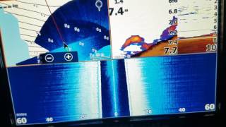 lowrance elite 7 ti structurescan [upl. by Azila]