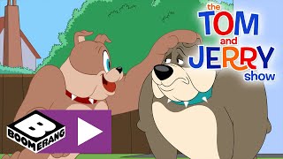 The Tom and Jerry Show  New Dog  Boomerang UK 🇬🇧 [upl. by Annora947]