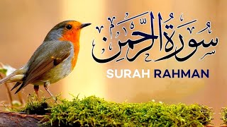 Surah ar Rahmanep00119beautiful and amazing Voice By Qari Sahebسورہ رحمٰن [upl. by Caputo599]