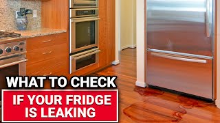 What To Check If Your Fridge Is Leaking  Ace Hardware [upl. by Acsirp]