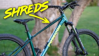 Is This The BEST HARDTAIL MTB Under 700  Poseidon Norton [upl. by Seys]