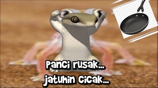 Panci Rusak Jatuhin Cicak Original SongLyrics Video [upl. by Ellehcsar]