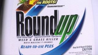 RoundUp Weed And Grass Killer ReadyToUse Plus [upl. by Joappa]