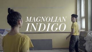 Magnolian  Indigo Official Video [upl. by Brittaney]